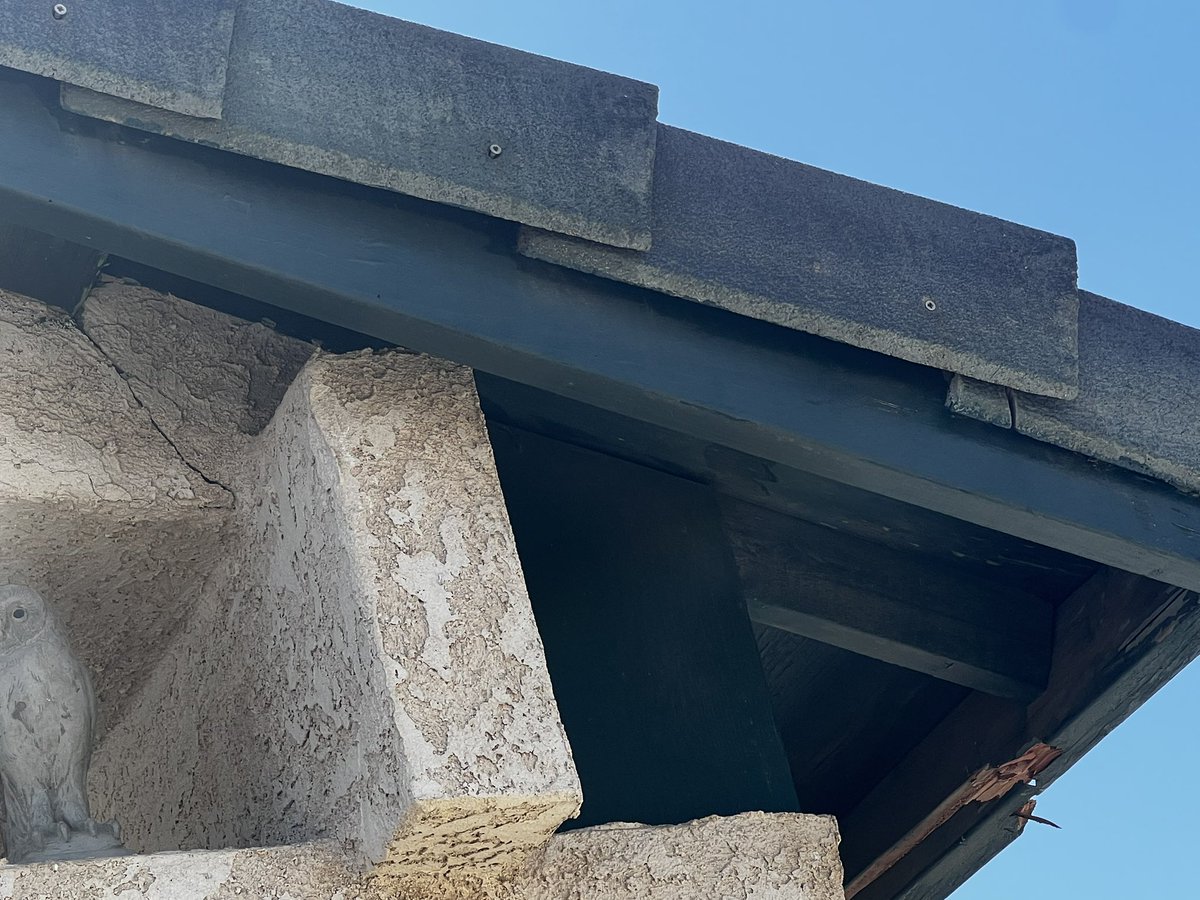 krykamkeyjus's tweet image. @amazon Your driver hit my house trying to drive through my portico &amp;amp; drove off! 100K + in structure damage. Customer service sucks. Now I have to file a claim &amp;amp; police reports because of your driver #hitandrun #driverfail #bebetter #dobetter @JeffBezos #notright #RetweeetPlease