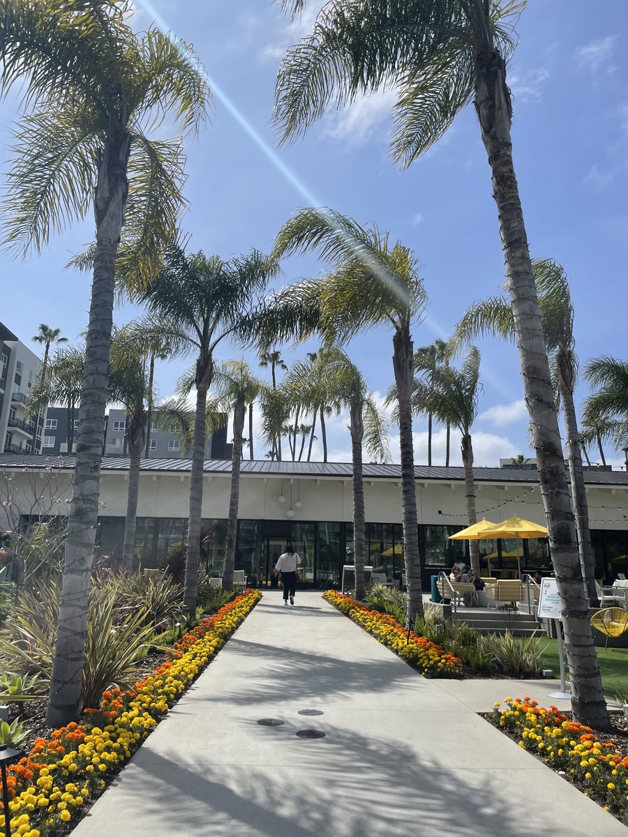 Megan Kiely Mueller tweet media