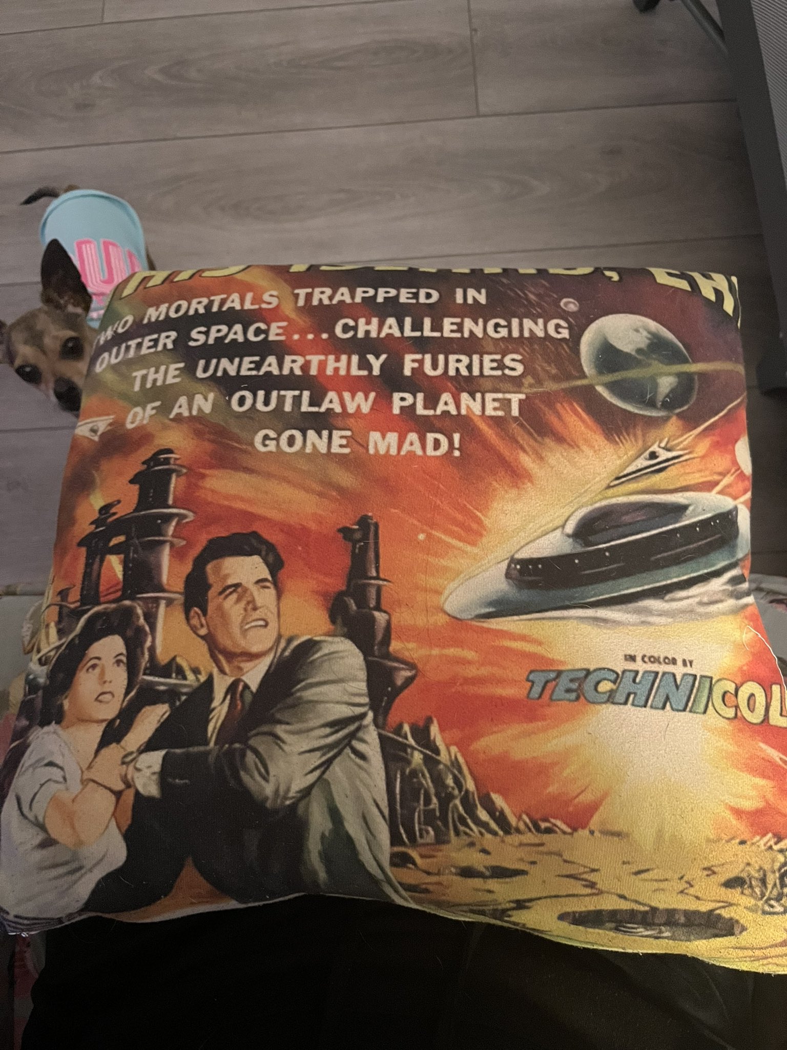 Tw pornstars shelly martinez twitter this pillow has been in