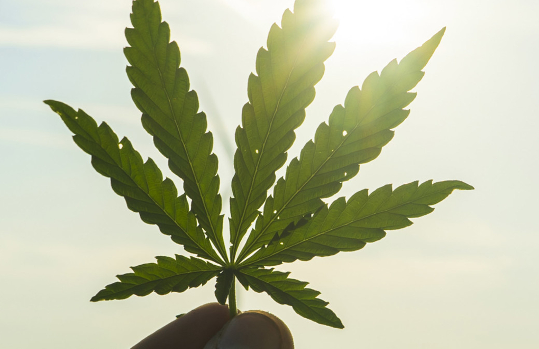 CannabisCulture's tweet image. Taiwan Activists Push For Decriminalization #decriminalization #law #activism #Activists #Taiwan #advocate bit.ly/3L2G7Gl