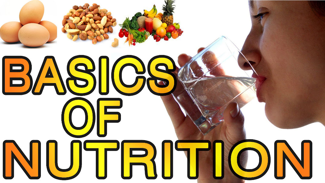 Basic Nutrition Concepts
Nutrition is how food affects the health of the body. Food is comprised of macronutrients: protein, carbohydrate and fat that not only offer calories to fuel the body, but also supplies micronutrients (vitamins and minerals). bit.ly/2F6L8ZR