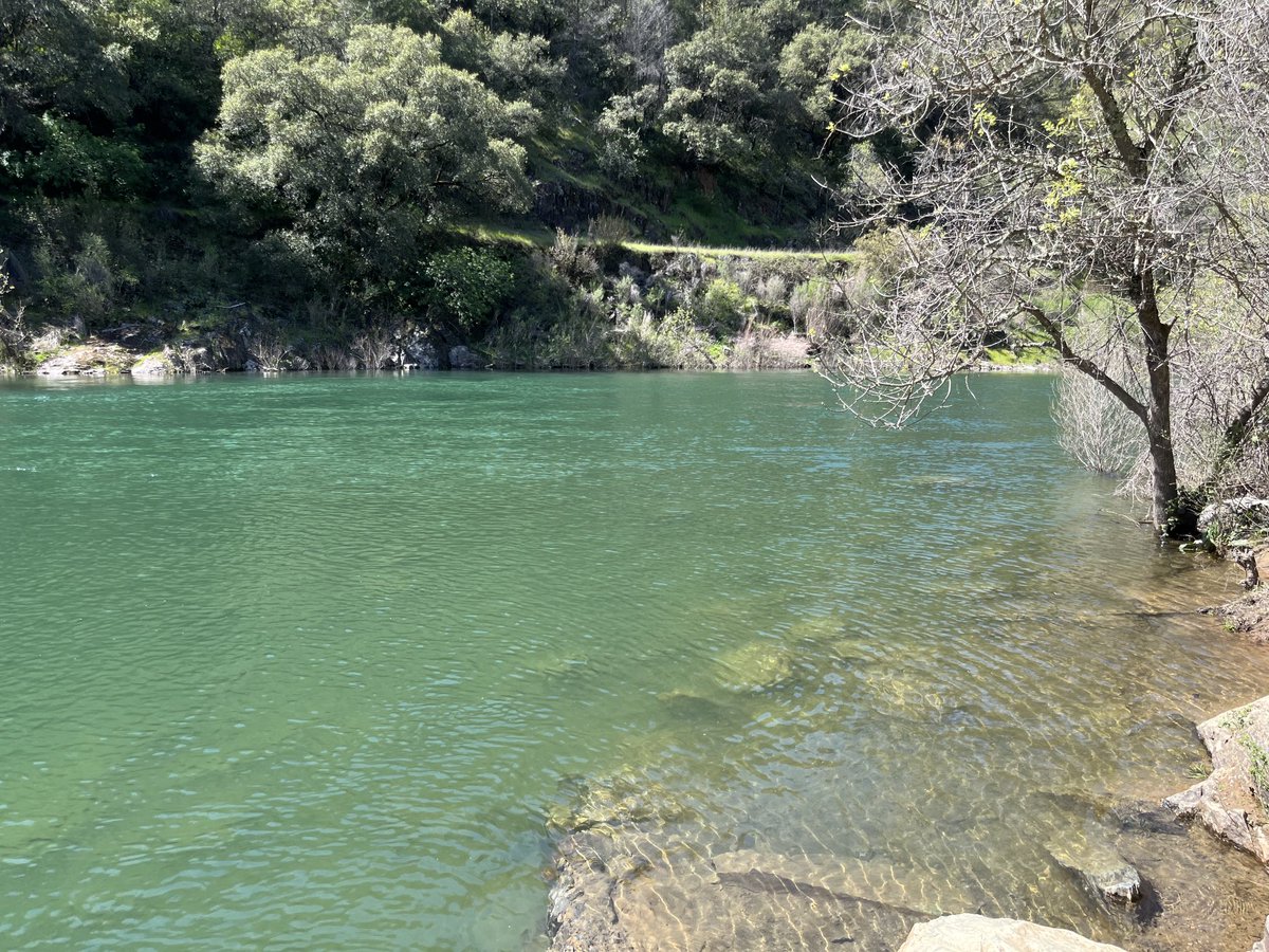 Jeffrey Ross-Ibarra tweet media