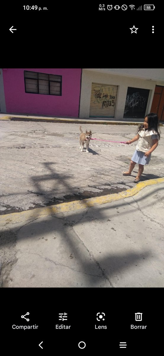 edilucalzada's tweet photo. Kiara 🐶🥰
Viendo mi Amigo Enzo

@AztecaSiete    #HeroesDeLomitos https://t.co/qrZekVUabk