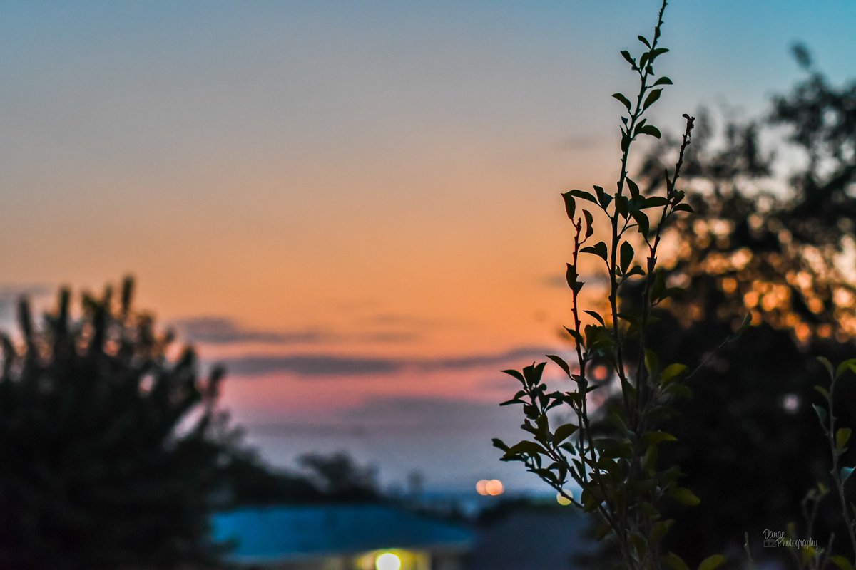 DanaePhotography (@danaephotog) on Twitter photo 