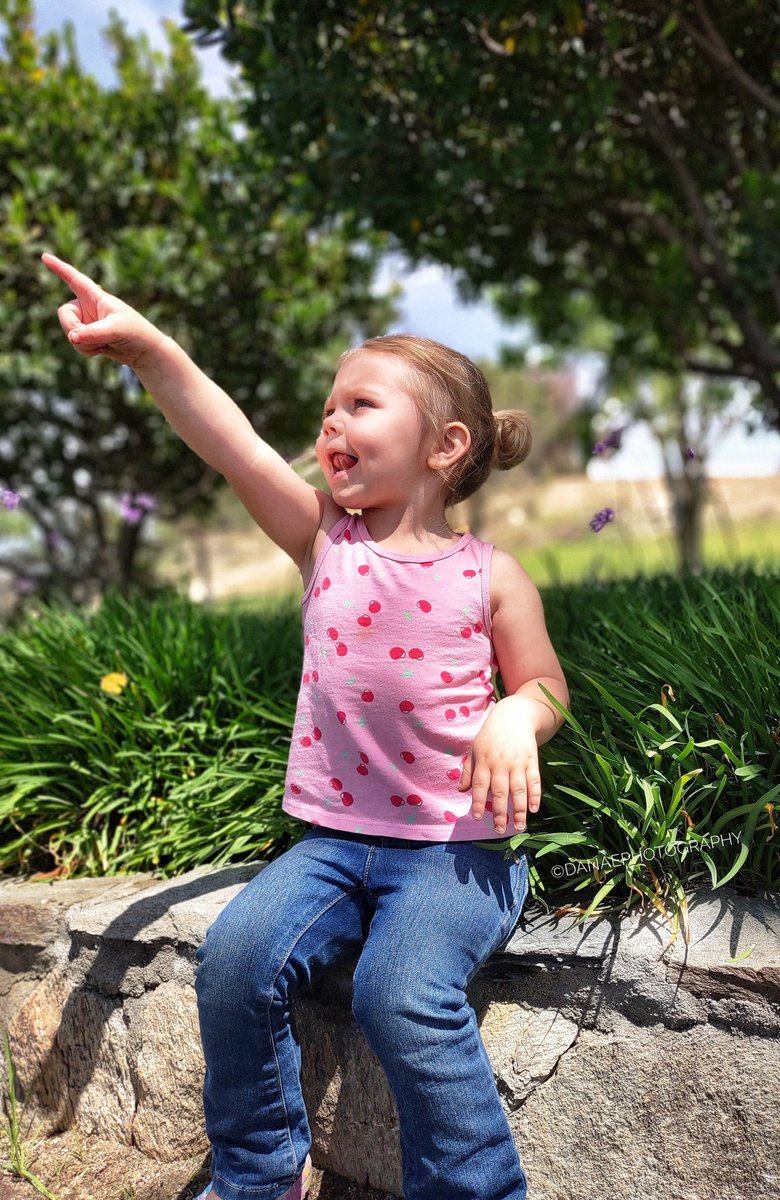 DanaePhotography (@danaephotog) on Twitter photo 