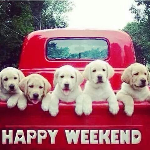 kotova_mmsmasb's tweet photo. Happy weekend! May your travels take you to exciting new places and may you have a blast every step of the way 🧑‍🍳🍲🥘🍴🛍️💄👠👗🌄🌲🏞️🚶‍♂️#WeekendCookingAdventures #WeekendShoppingSpree #WeekendNatureWalks #GoodNight #sweetdreams #Smile https://t.co/p67Jsf0dmC