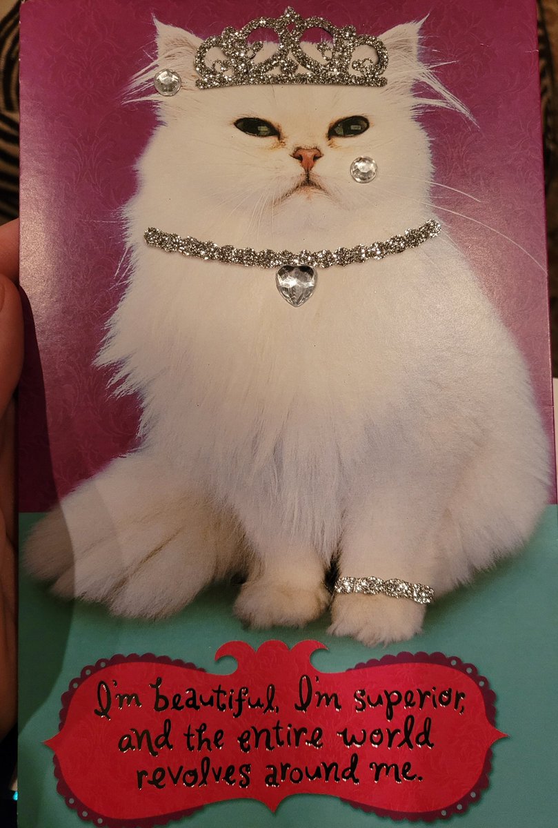 Storme_cloud's tweet image. Princess Donut gave me a birthday card! Totally had to read it in her voice. Thank you, love! @mattdinniman