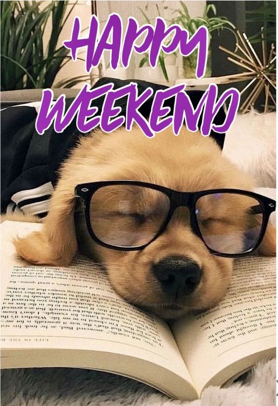zozotownmm's tweet photo. Are you ready for the weekend? It’ll be great if it is pointless, relaxing and funny 🧑‍🍳🍲🥘🍴🛍️💄👠👗🌄🌲🏞️🚶‍♂️#WeekendCookingAdventures #WeekendShoppingSpree #WeekendNatureWalks #GoodNight #sweetdreams https://t.co/7l7XefrtX2