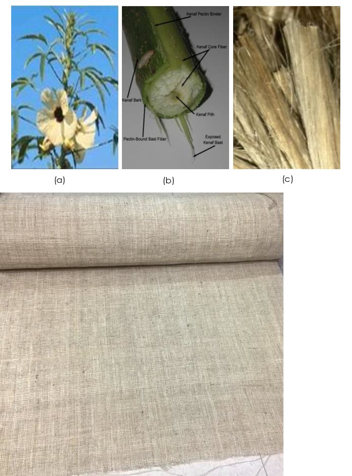 PrakashBombacio's tweet photo. Physical properties of kenaf fiber
Kenaf fiber a strong &amp;also soft handle. Kenaf has breaking strength like that of low grade jute,it isslightly weakened only when wet. Kenaf fibers have long staple,meaning very fine &amp; strong yarn can be spun .It can be either lightwt or heavywt. https://t.co/KbmYjYfMj9