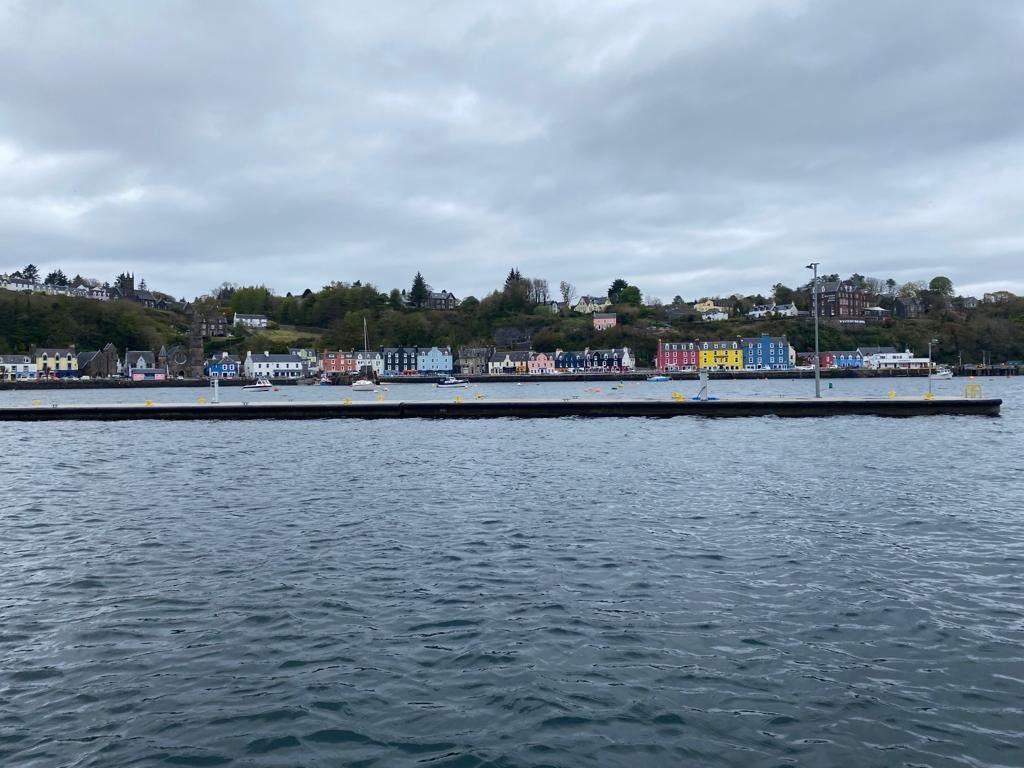 DavidWSteel tweet media