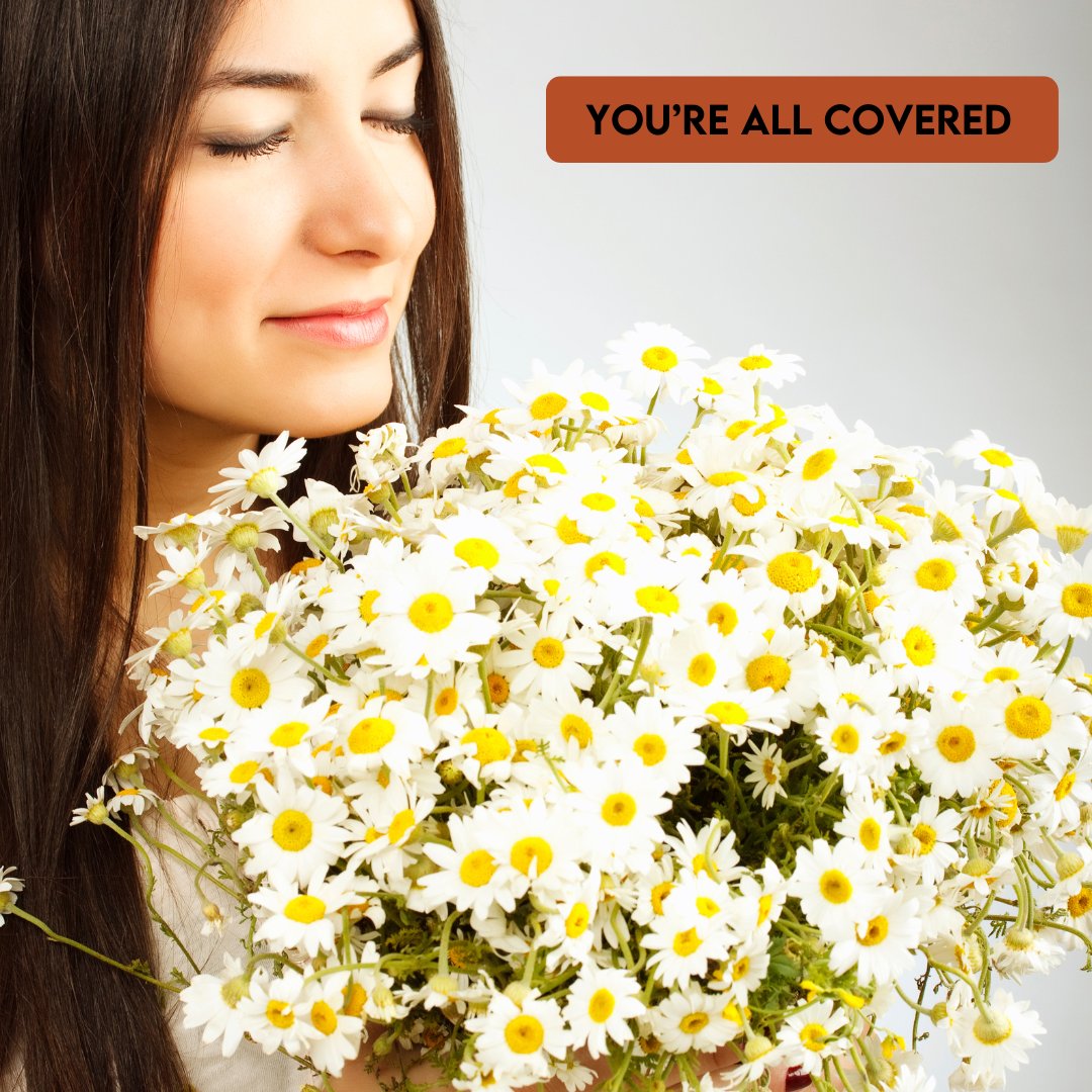 drivenpreneur's tweet photo. Decided I’m going to open an insurance company that specifically caters to florists. 

I think I’ll call it ‘Oopsie Daisies’ 
😂 https://t.co/hPLicGmqqP