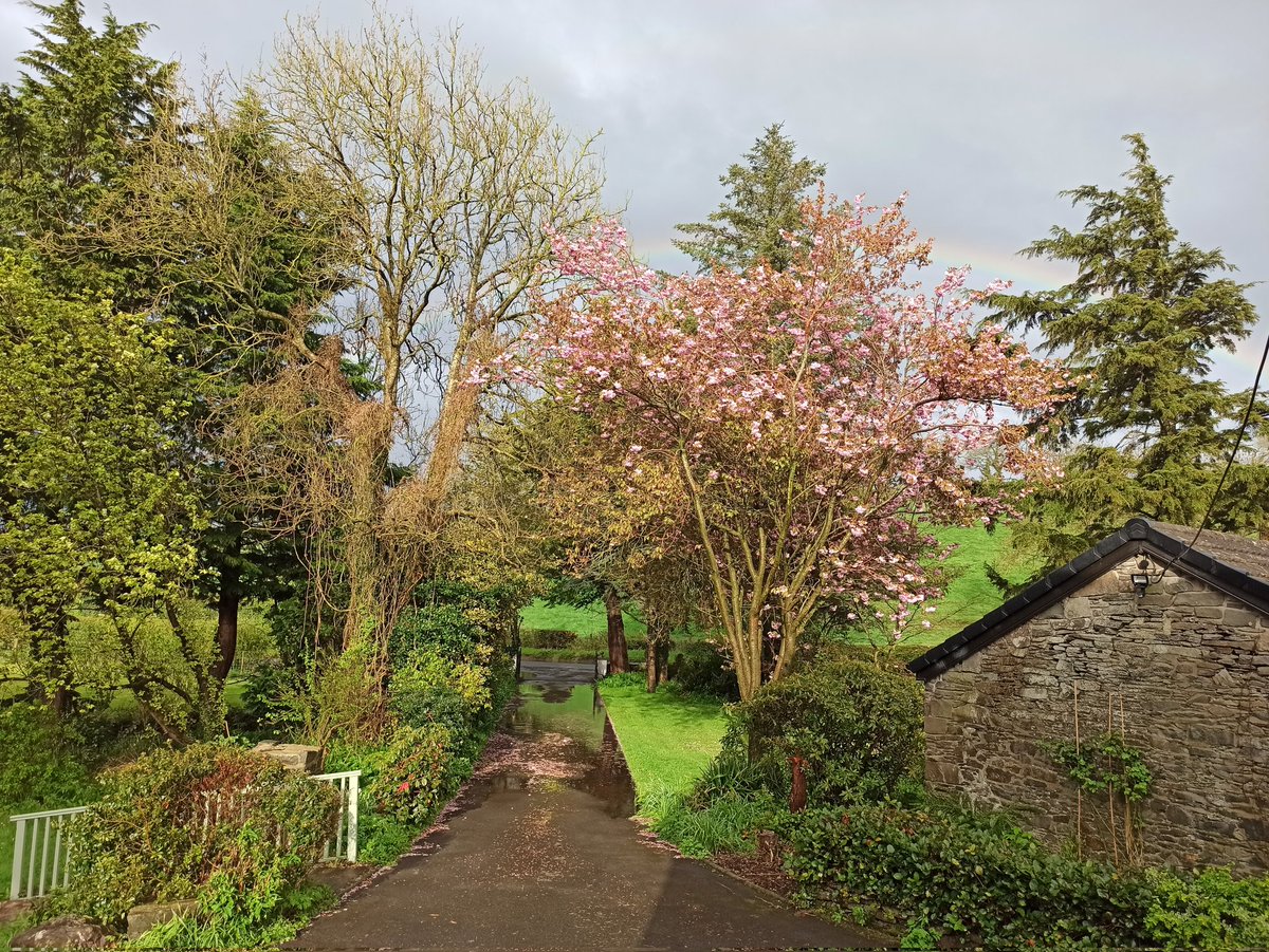 looee66's tweet image. Calm after the storm (and five hours of gardening).