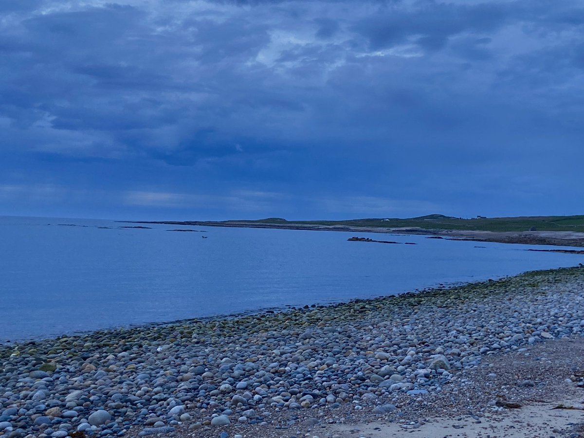 Marie Batey🌿🤍🌼 tweet media