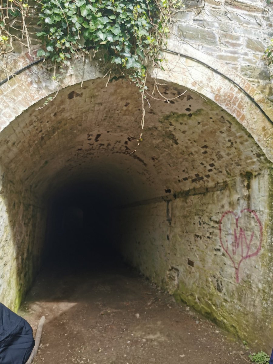 Jean Almond 🇺🇦 tweet media