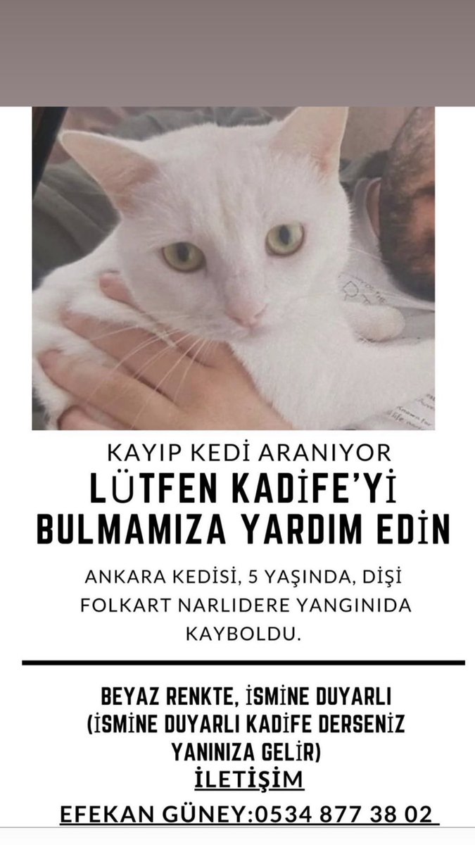 fatmazyel's tweet photo. #izmir #narlıdere #yangın #kayıpkedi https://t.co/ueeGqBPU0M