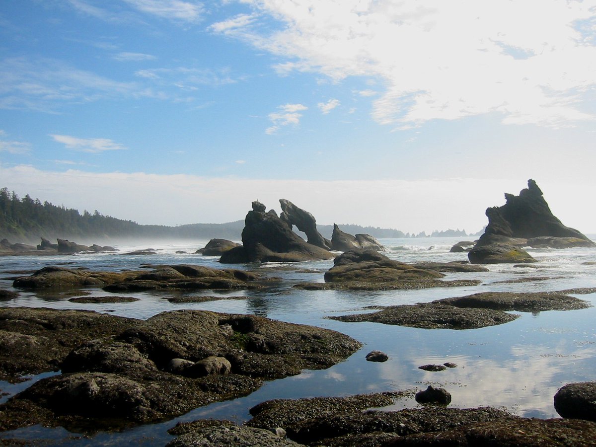 BeachViewsDaily's tweet photo. Hiking to paradise! 🥾 Shi-Shi Beach, where the journey is just as stunning as the destination. 🏞️🏖️ https://t.co/xgS1nnzvEN