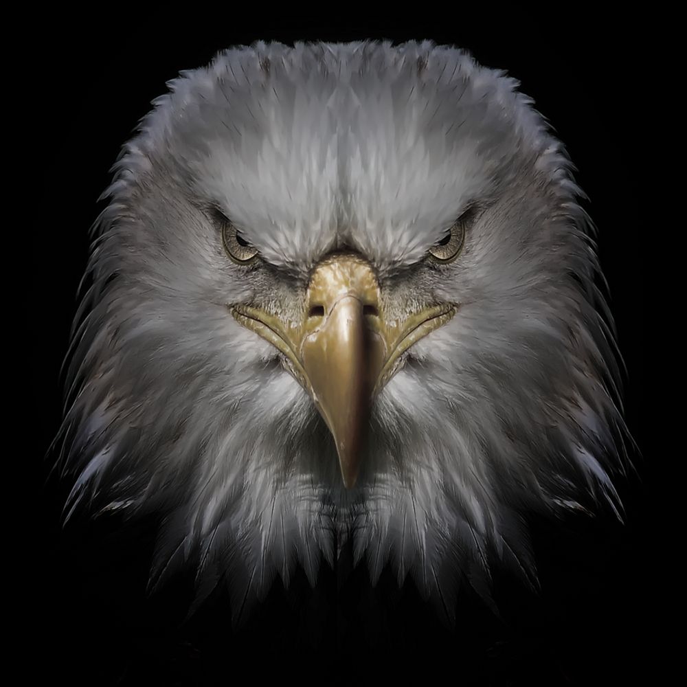 yine yeniden...
algı değil, olgu!
#çArşı