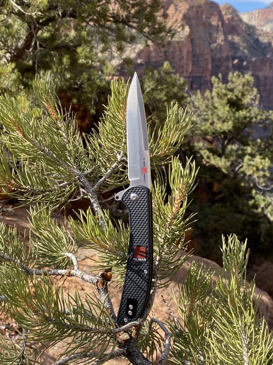 Crafted with the finest materials and designed with unmatched precision.🏔
The Ultralight Hawk Framelock Titanium Black Folding Pocket Knife is the ultimate choice for every outdoorsman. #knife #knives #knifelife #everydaycarry #handmade #knifemaker 

amzn.to/3ZAOhcS