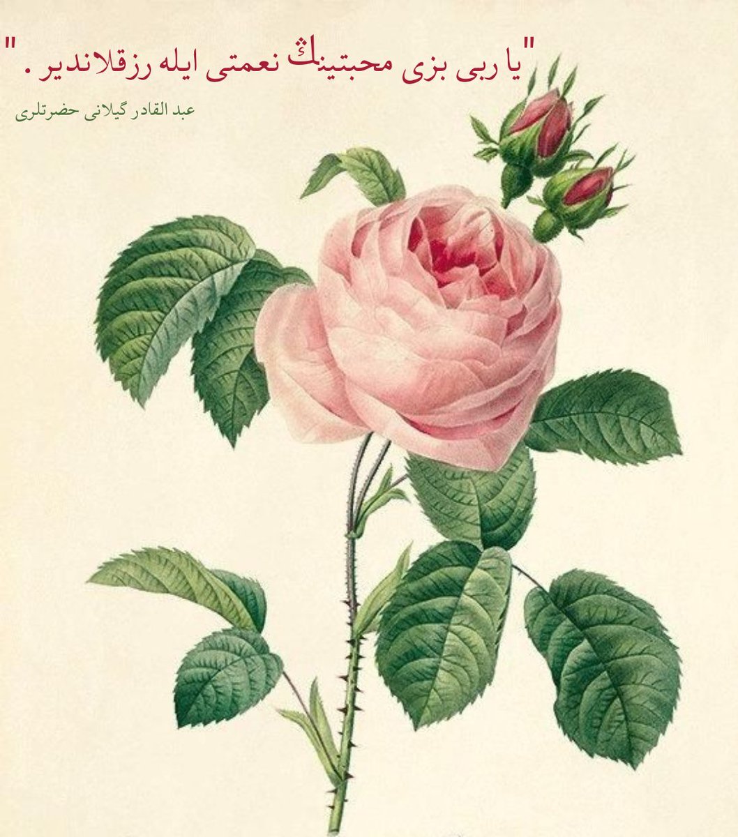 sirayetisanat's tweet photo. “Ya Rabbi bizi muhabbetinin nimeti ile rızıklandır.”

Abdülkadir Geylani hz https://t.co/RYXXDZeTpe