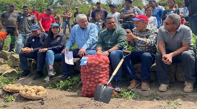 Impulsan iniciativas para la producción de papas en Falcón

#NoAMedidasCoercitivasUnilaterales     

vtv.gob.ve/impulsan-inici…