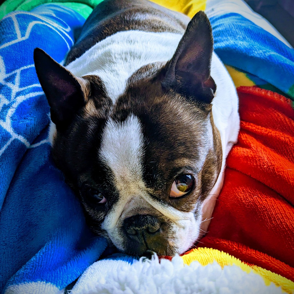 Chrissy in the Sky with Diamonds 🫐 tweet media