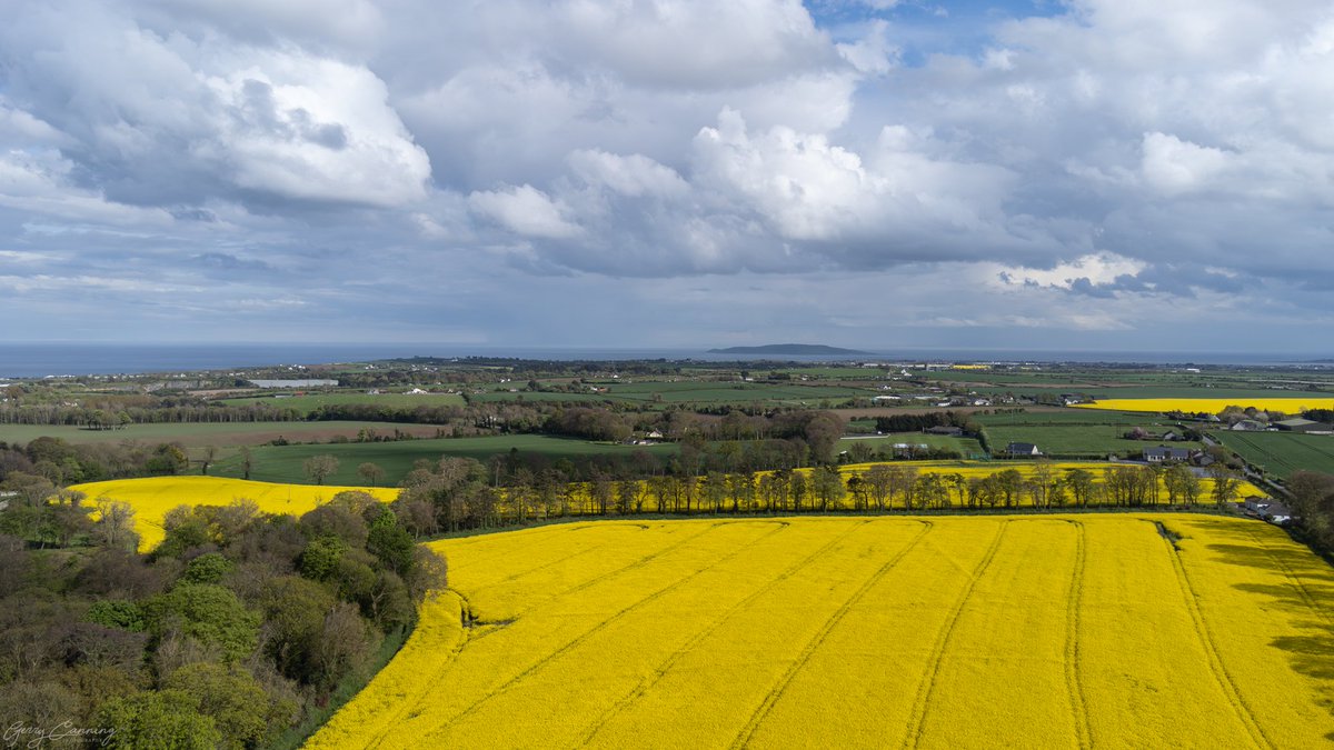 gerryjc's tweet photo. Fields of gold and moody skies over North County Dublin this afternoon.

#fieldsofgold #northcounty #irelandseastcoast #lambayisland #lambaywhiskey  #dronephotography #dji #djimini2 #thefullirish #addictedtoireland  #dublinexplore #lovefingaldublin #lovefingal #Skerries https://t.co/orpFYcZeXp