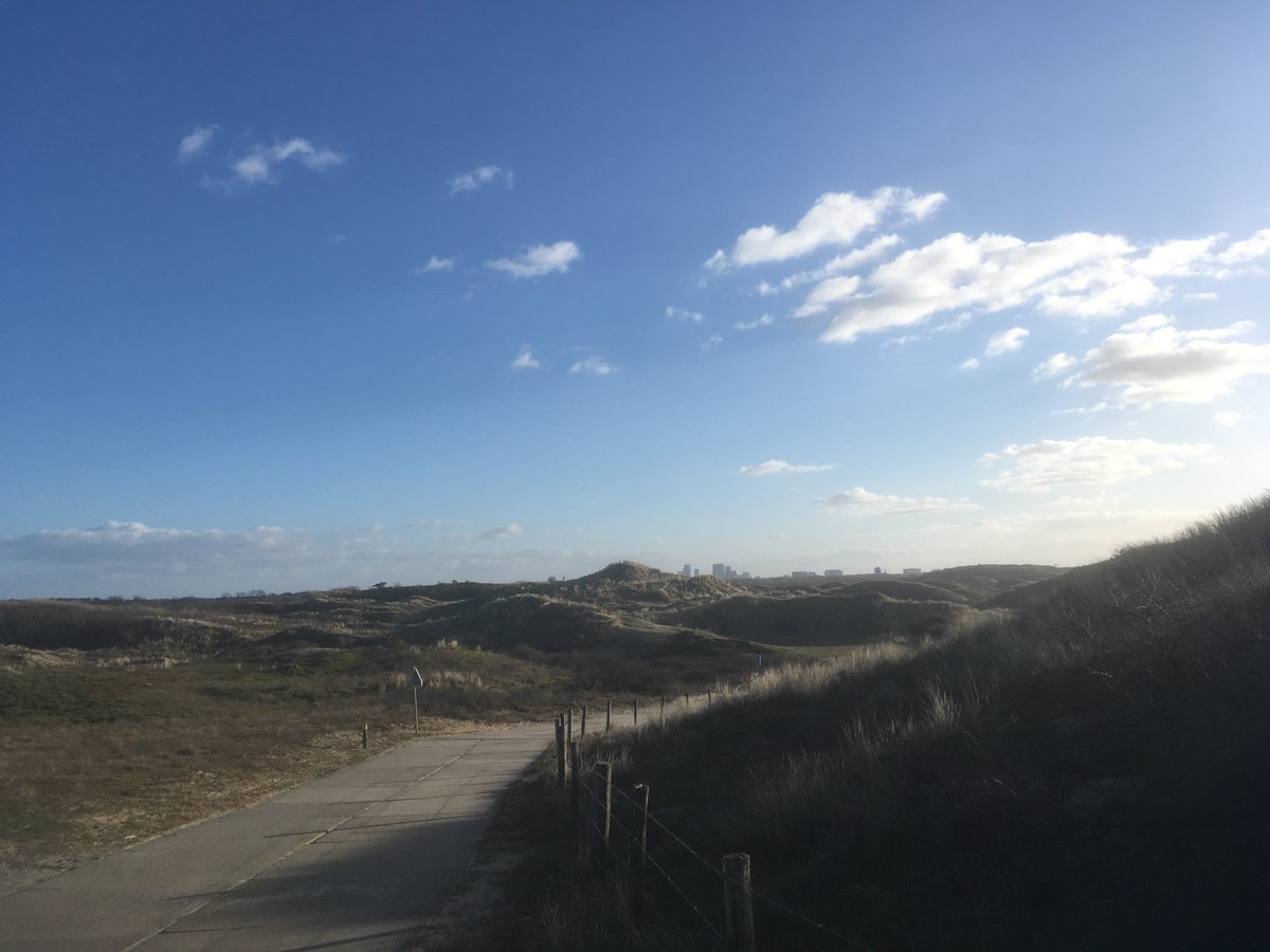 Ditbenik17's tweet photo. 📸Vanaf een duintop bij Meijendel, Wassenaar, met uitzicht op de skyline van Den Haag. Weer even van bewust dat natuur en stad dicht bij elkaar zitten. https://t.co/nBzlzF8I6t