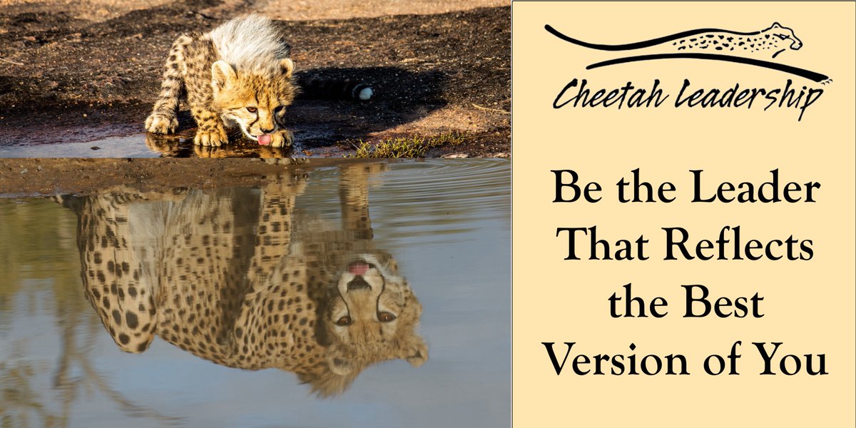 See how Certified Cheetah Leaders use accelerated learning to stand out and get promoted into the Executive ranks
bit.ly/41TNaak

#cheetahleaders #cheetahlearning #leadership #certifiedcheetahleaders #projectmanagement #negotiations #acceleratedlearning