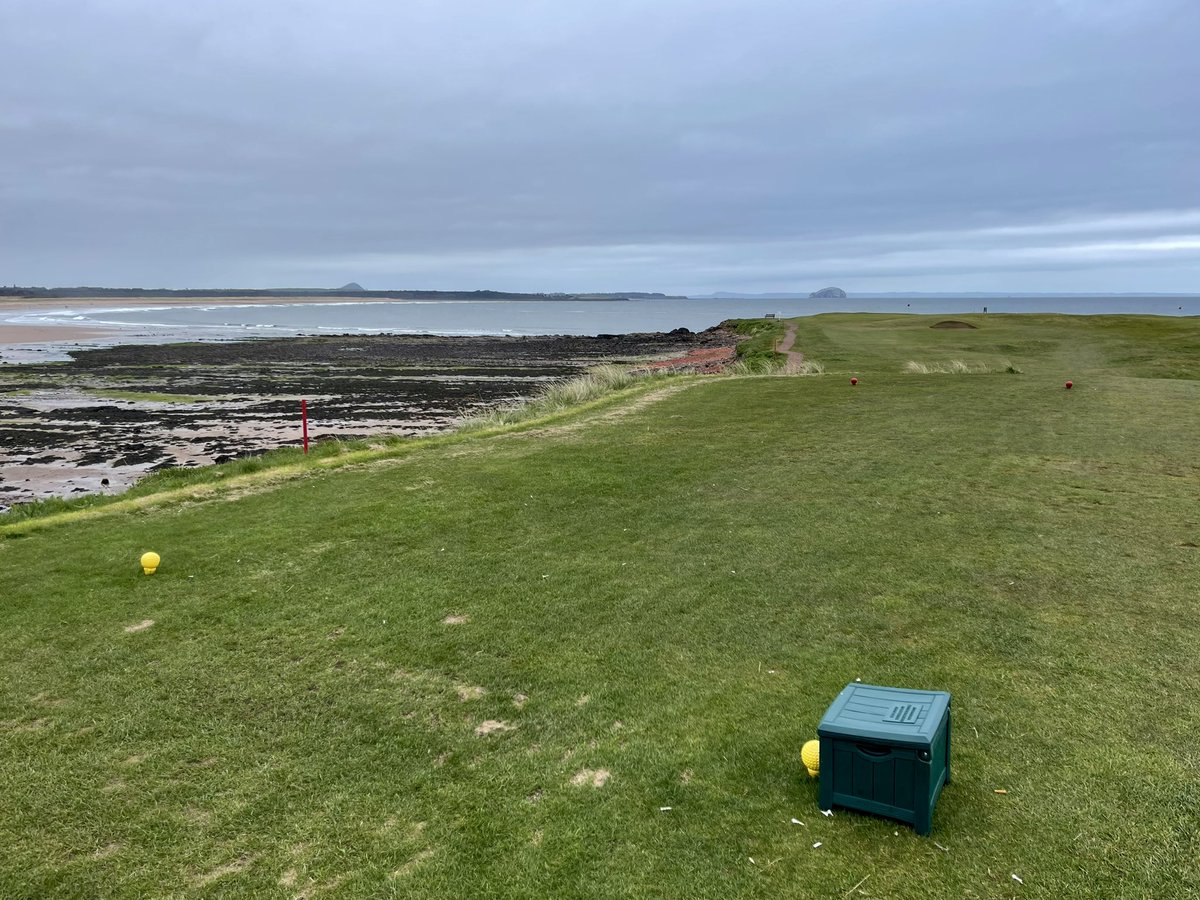 Daniel Hill tweet media