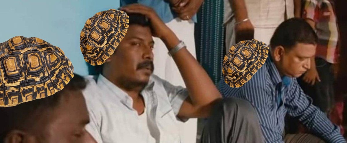 RInjadh's tweet photo. @LycaProductions Aamais after see this title😏🐢 https://t.co/X6YWf3hNg2