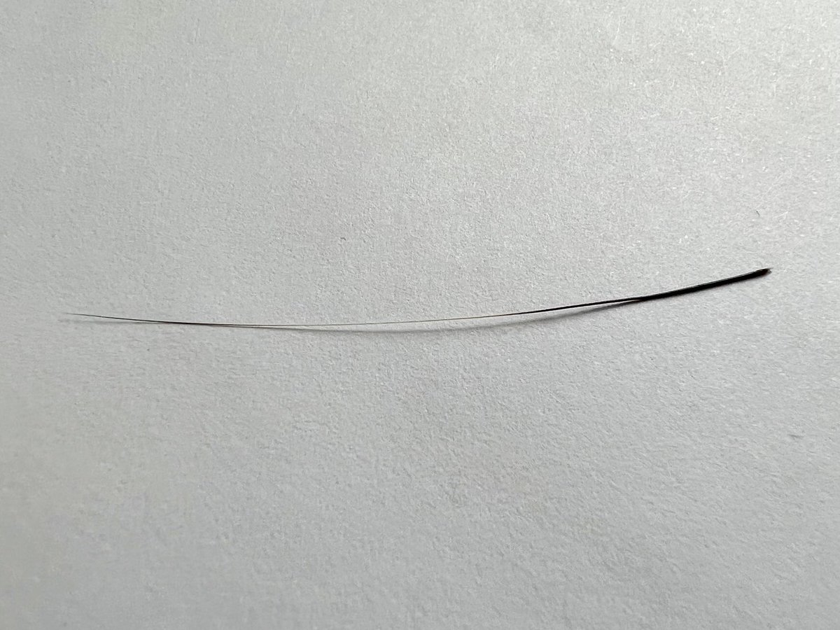 harri8here's tweet photo. a whisker of a shadow: vibrissae https://t.co/aFwUOd2OeG