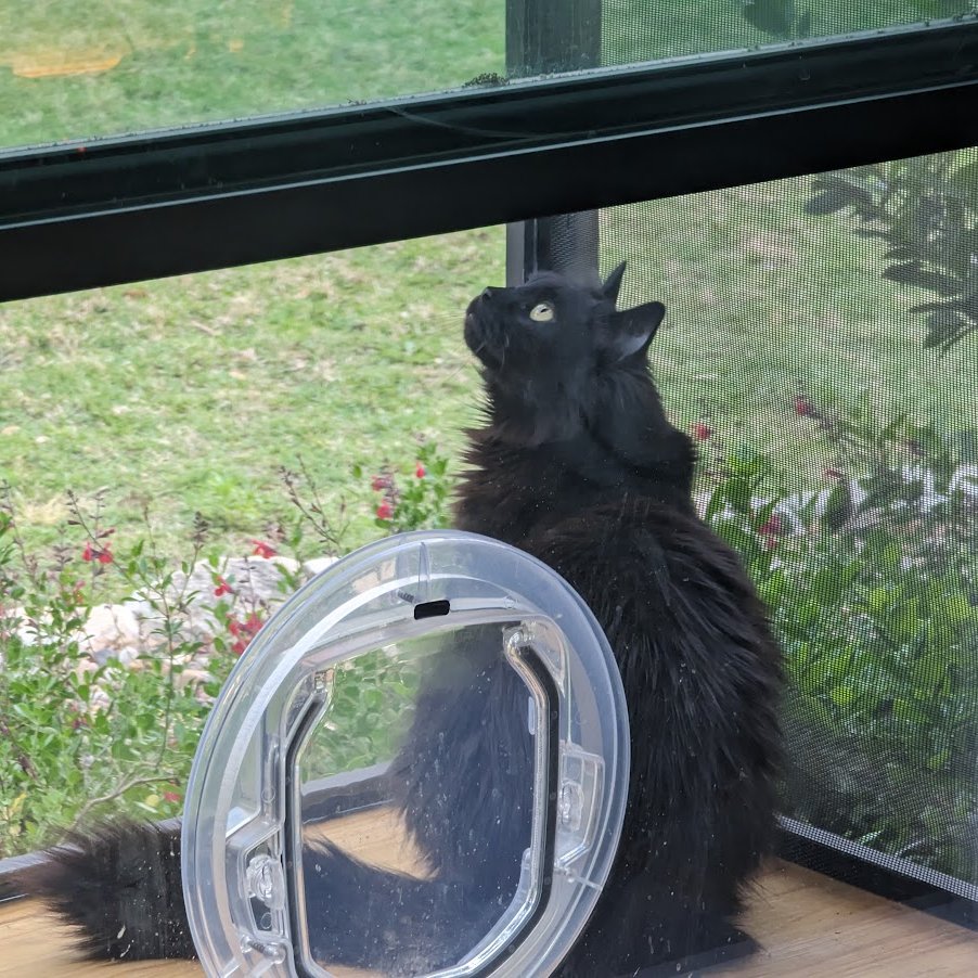 Katelyn Heling tweet media