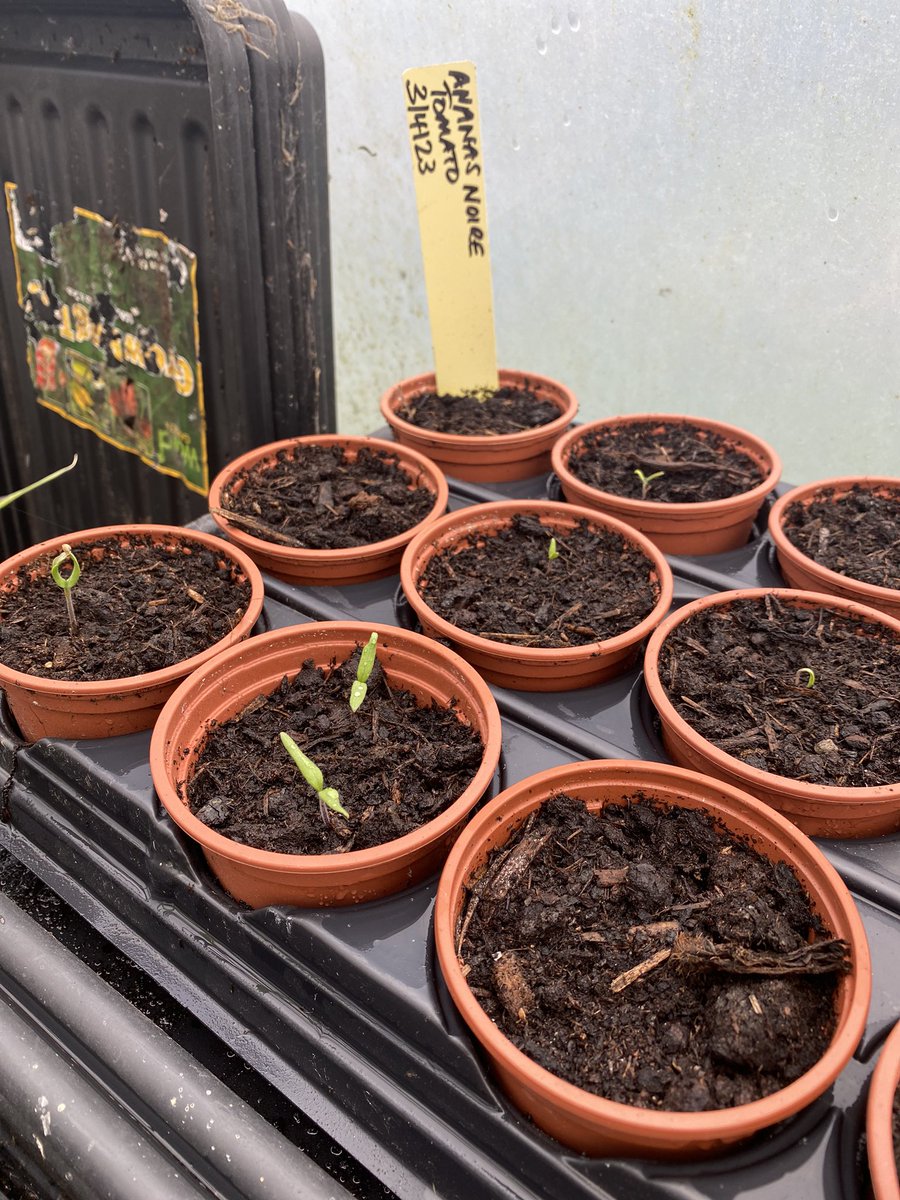 KayFKeane's tweet image. This weeks #nhs1000miles brings me a weekly total of 30 and year to date 775 miles.  I’ve found time on my day at @urban_medical and @uvmp1 to get out to see the community &amp;amp; made an effort to add walking wherever possible - of course some gardening too 

Back to the gym this week