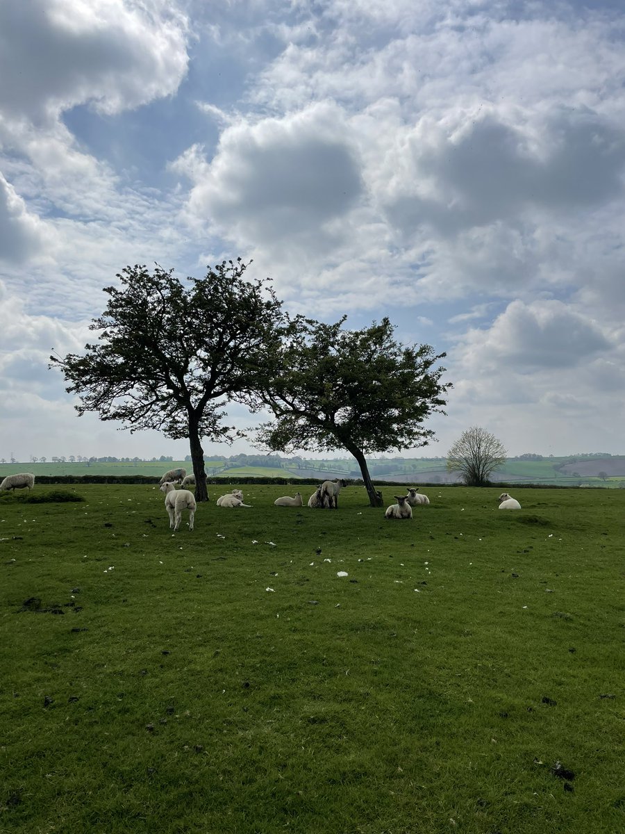 Great <a href="/DofE/">The Duke of Edinburgh’s Award</a> silver practice this weekend! <a href="/KBuccleuchA/">KBA</a>