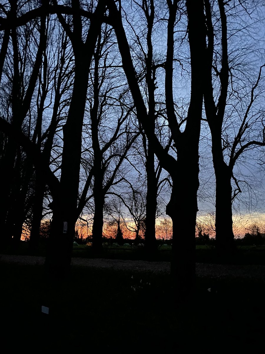 Josephine Sams tweet media