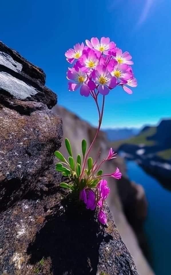 Karene Benbow (@benbowkarene) on Twitter photo 