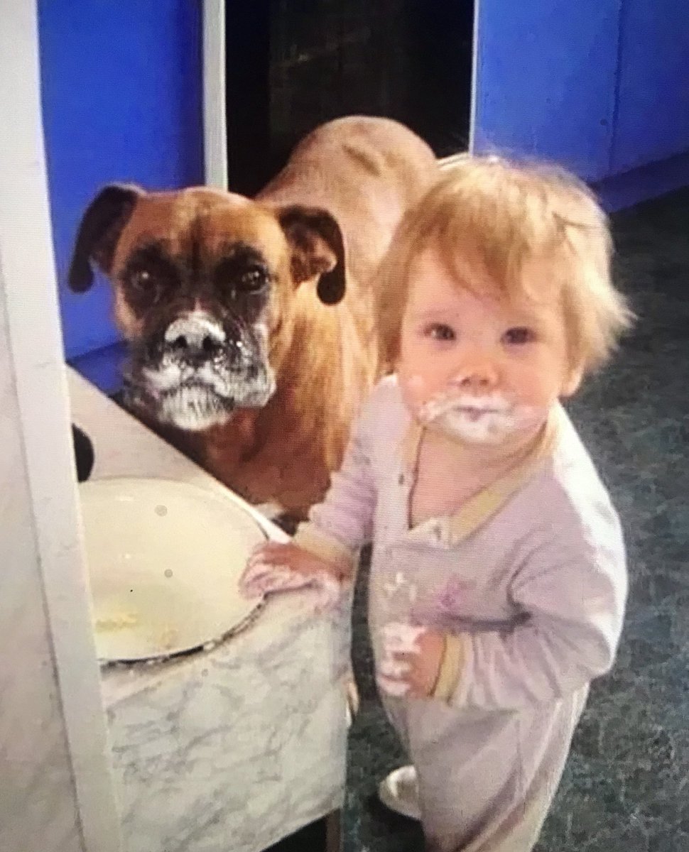 NecesitoUnPerro's tweet photo. Travesuras 😂😂😂 https://t.co/8qBpp5yZxv