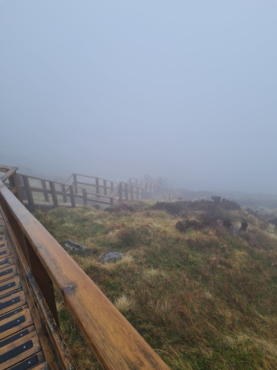GerDoyle1985's tweet photo. @GoToIreland https://t.co/nA1ojciqQv