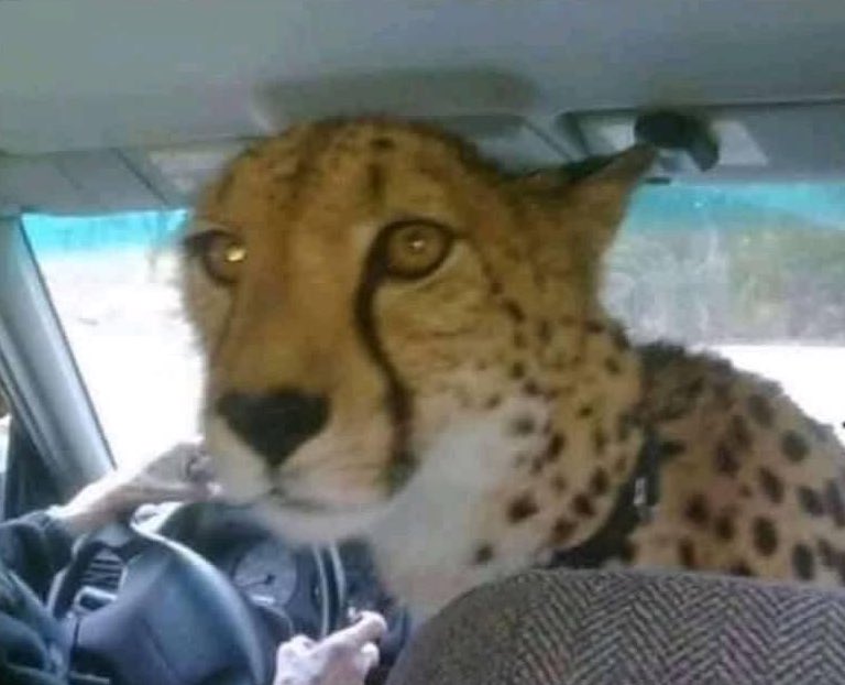 me making sure everyone is enjoying the song i put on