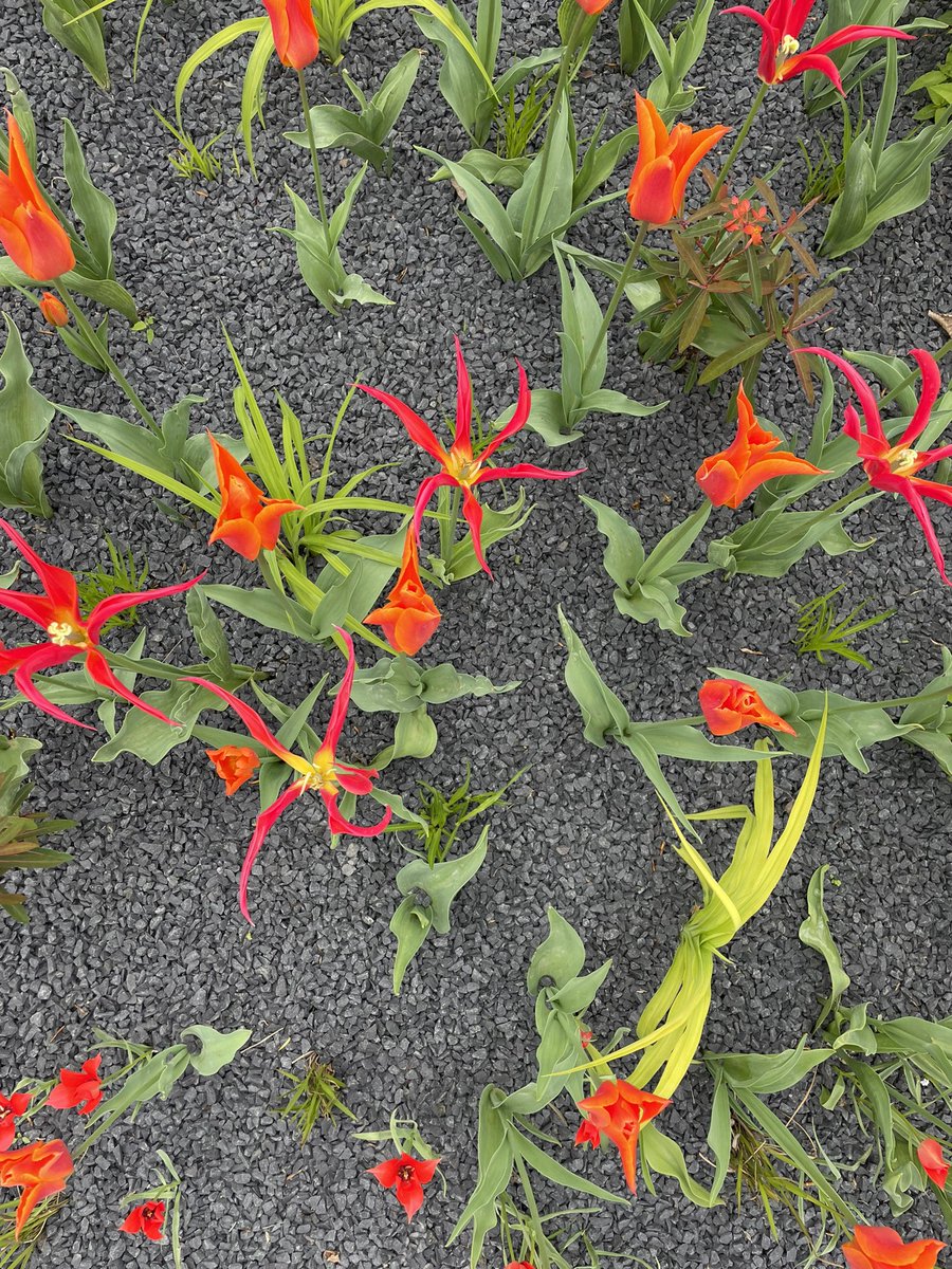 Barbara Ofstad tweet media