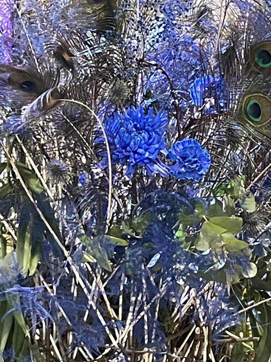 Auf der <a href="/BugaMannheim/">Bundesgartenschau 23</a> neben 🌺 und nachhaltigen Gärtnern auch die Kurpfälzer Meile der #Innovationen mit dem ersten elektrischen Aufzug von <a href="/SiemensDE/">Siemens Deutschland</a>