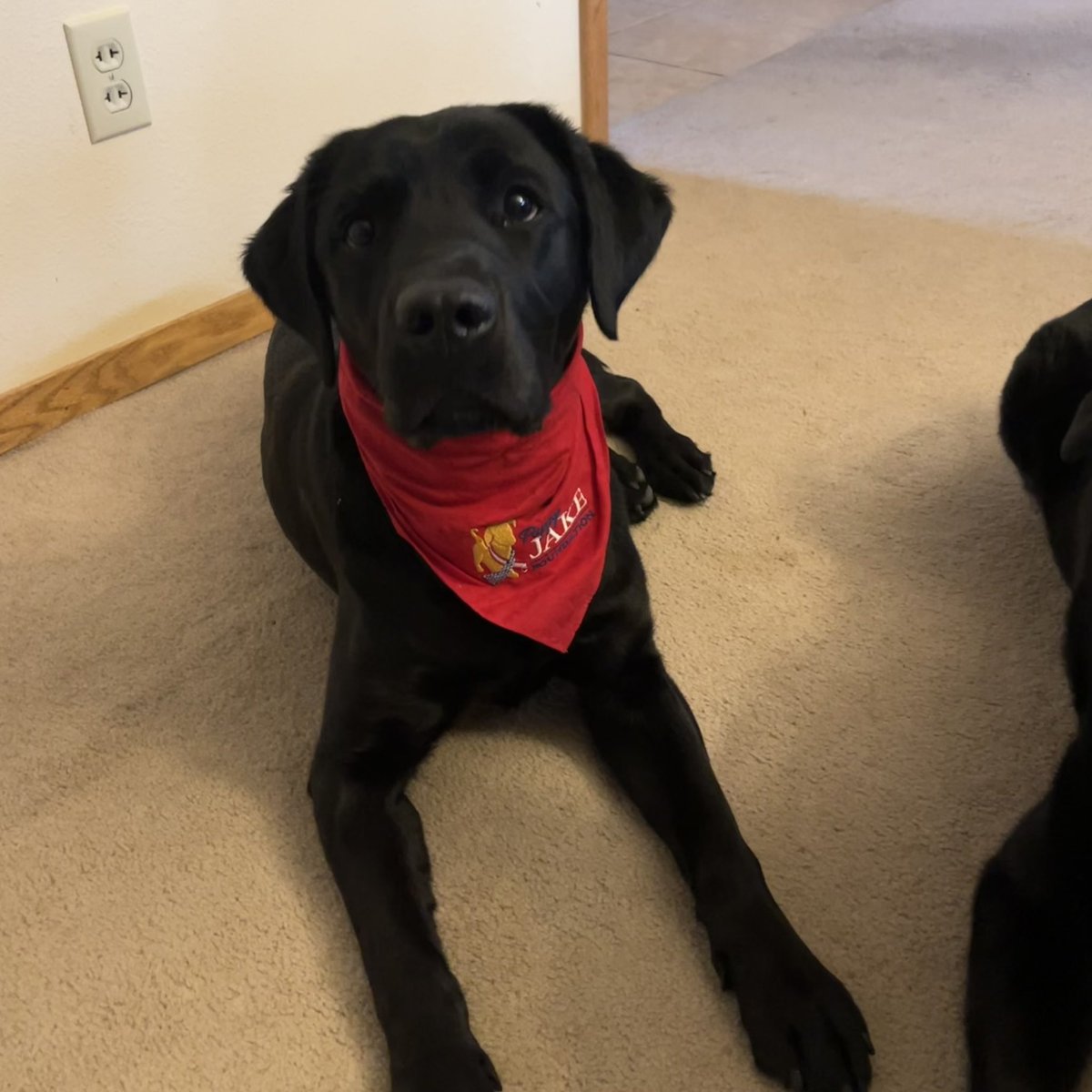 Got to visit <a href="/bethlin66/">Beth Lin Hartmann ☮️</a> yesterday!  So good to see Pete and to meet Georgia.