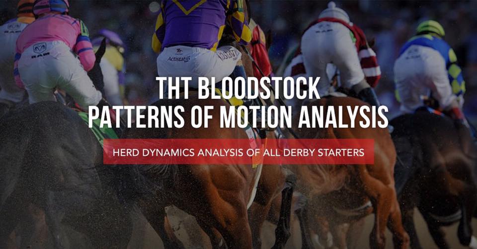 viewfromthehoof's tweet photo. "One thing for sure, any horse that lacks the aptitude of leadership amongst their peers shall be quite happy to follow those that do. Your best hope then, is that they can outrun both themselves and their competition." @KentuckyDerby #HerdDynamics Analysis. Next week! @Brisnet https://t.co/bPO31LdiWV
