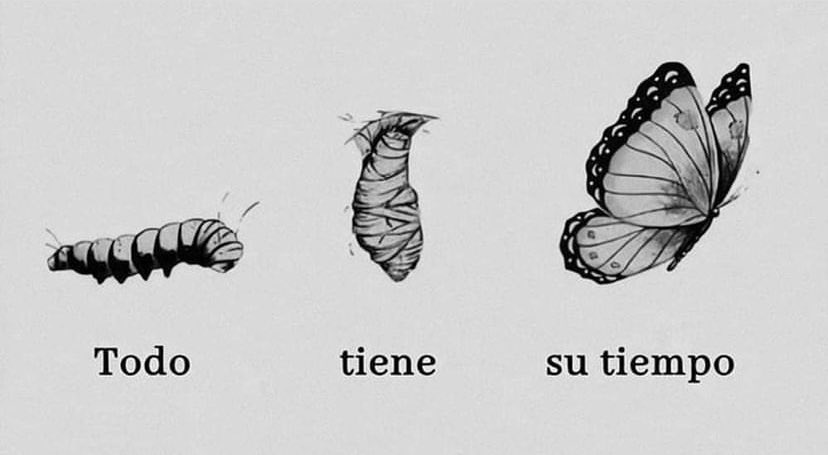 Cultura Literal (@culturaliteral1) on Twitter photo 