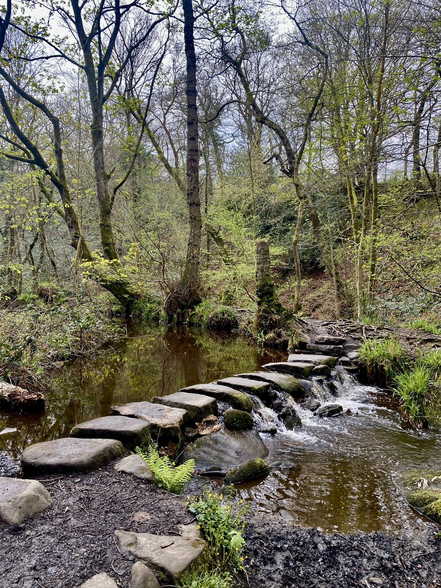 Probably the most beautiful river walk I’ve experienced to date. 
My vitamin N is well and truly topped up. 🥾🌳🌿🌱🍃
#TheRivelinValleyTrail #LegsAndLaces #RiverWalks