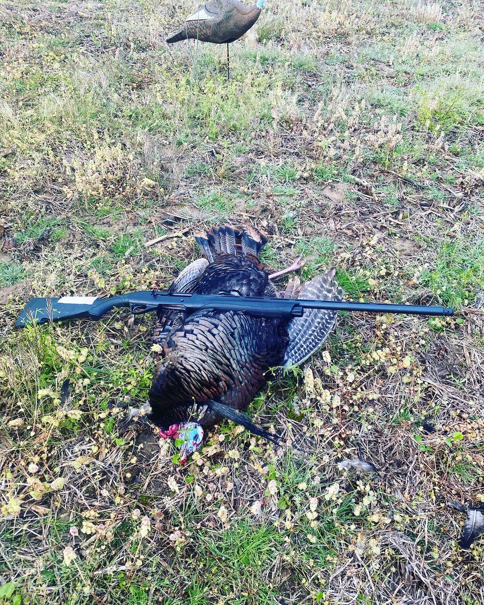 BoilerGator1's tweet photo. Field to Table at its finest. #turkeyhunting #fieldtotable #wildgame #winchesterammunition #foxprocalls #indianahunting #flambeauoutdoors #blessed #pitboss #franchishotguns https://t.co/7IoqGbeiAJ