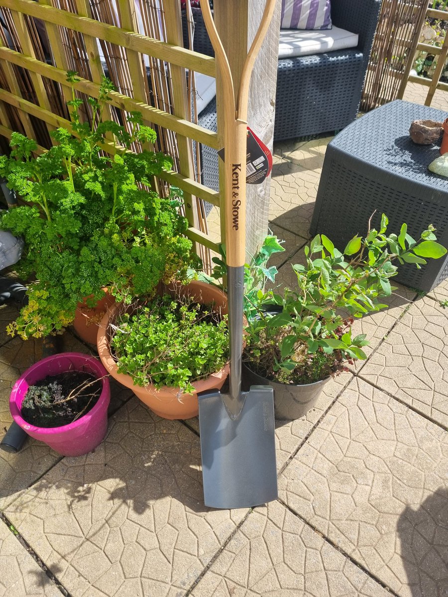 Samantha Kelly Media tweet media