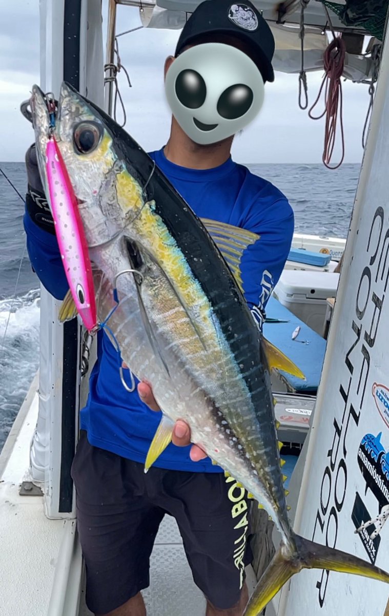 china_yunt's tweet photo. #spinriderdeep で
ミニマグロミニカツオ https://t.co/UzLcQOZ0a4