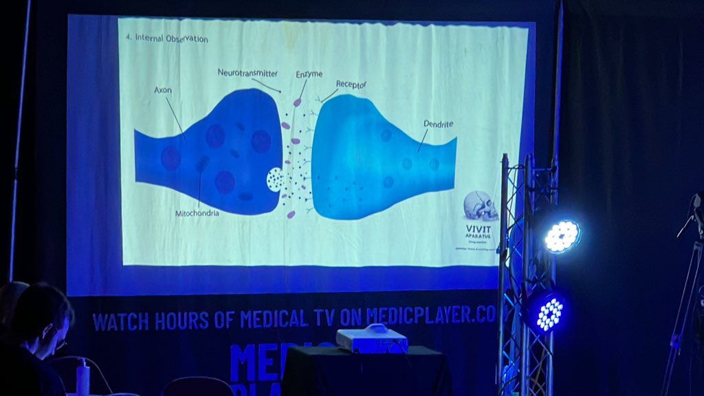 <a href="/postmortemlive/">thepostmortemlive</a> topical compounds that could affect neurological function