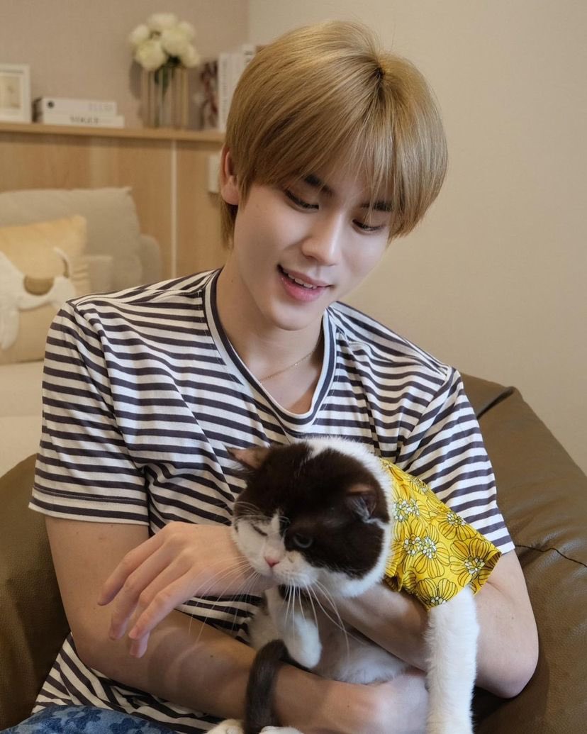 piccologiant052's tweet photo. 妈妈和猫猫都好温柔,好想rua @bb0un @Prem_space @thisisapiccolo #prem__space #BounPrem https://t.co/VnKouZFJra